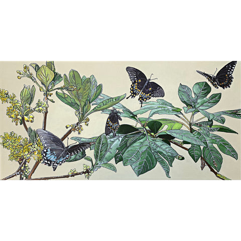 Painting of sassafras bushes with yellow flowers and spicebush swallowtail butterfies in various stages against a cream background by Frances Coates at Cottage Curator - Sperryville VA Art Gallery