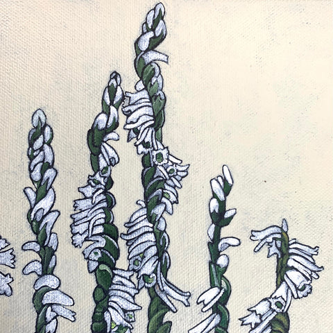 Detail of Acrylic painting of bunches of slender lady's tresses against off white background by Frances Coates at Cottage Curator - Sperryville VA Art Gallery