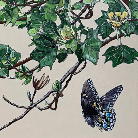 Detail of Acrylic painting of swallowtails flying and eating at tulip poplars against a white background by Frances Coates at Cottage Curator - Sperryville VA Art Gallery
