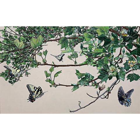Acrylic painting of swallowtails flying and eating at tulip poplars against a white background by Frances Coates at Cottage Curator - Sperryville VA Art Gallery