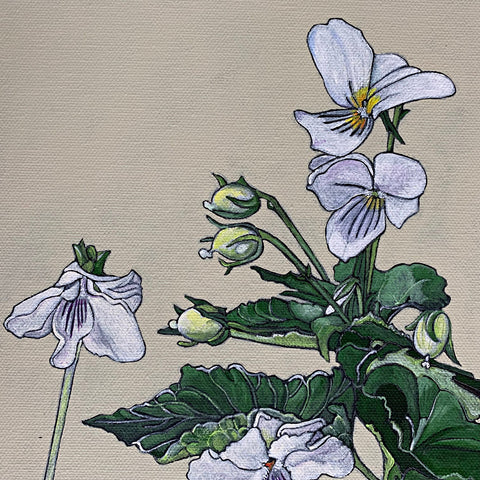 Detail of white violets from painting of violet families against an ivory background by Frances Coates at Cottage Curator - Sperryville VA Art Gallery