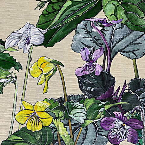 Detail of painting of families of violet flowers in white, purple, pink and yellow against an ivory background by Frances Coates at Cottage Curator - Sperryville VA Art Gallery