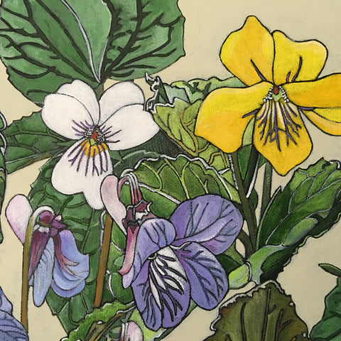 Detail of group of white, yellow and purple violets with green leaves against an ivory background - painting by Frances Coates at Cottage Curator, Sperryville VA Art Gallery