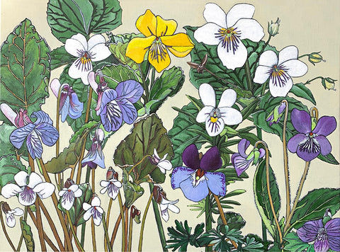 Group of white, yellow and purple violets with green leaves against an ivory background - painting by Frances Coates at Cottage Curator, Sperryville VA Art Gallery