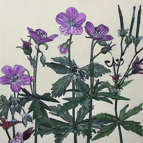Square painting of a family of pink wild geraniums against an ivory background by artist Frances Coates at Cottage Curator - Sperryville VA Art Gallery