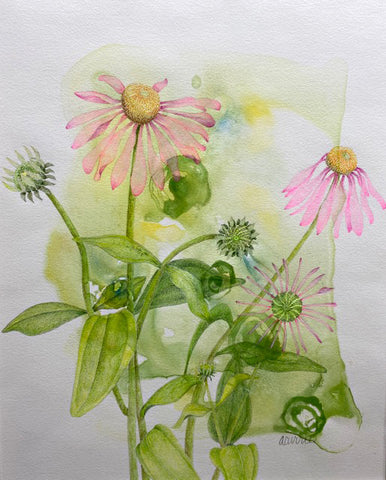 Colored pencil drawing of pink coneflowers on green stems against a yellow and green watercolor background by Ann Currie at Cottage Curator - Sperryville VA Art Gallery