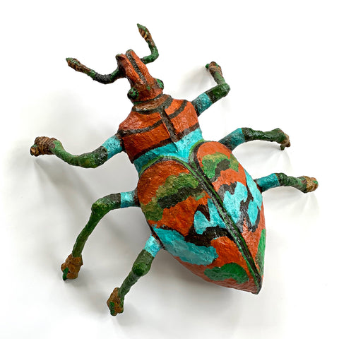 Orange Tail Beetle