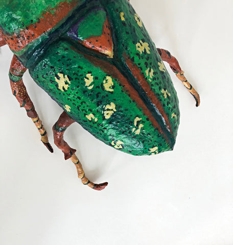Woodland Beetle