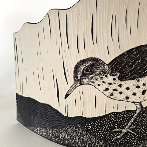 Spotted Sandpiper Suite