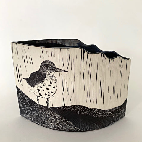 Spotted Sandpiper Suite