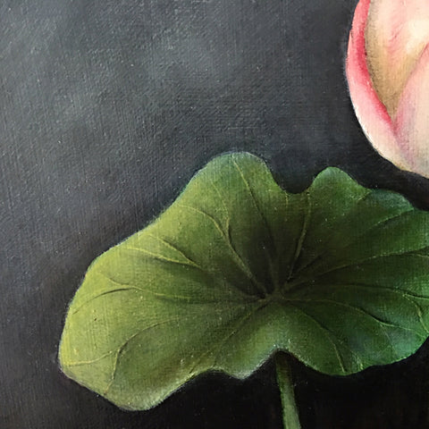Lotus Flower