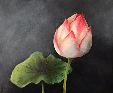 Lotus Flower