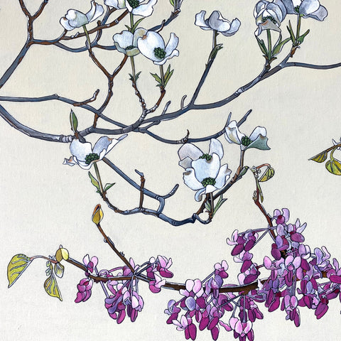 Detail of Painting of redbud and dogwood branch against white background by Frances Coates at Cottage Curator - Sperryville VA Art Gallery