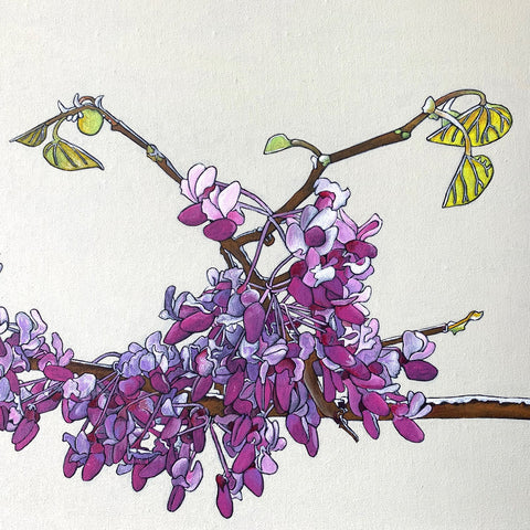 Detail of Painting of redbud and dogwood branch against white background by Frances Coates at Cottage Curator - Sperryville VA Art Gallery