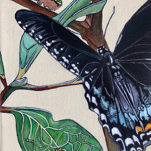 Detail of Painting of spicebush swallowtail butterfly on a branch with leaves with several caterpillars by Frances Coates - Cottage Curator - Sperryville VA Art Gallery