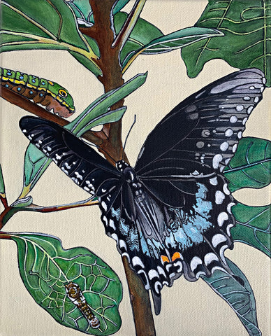Painting of spicebush swallowtail butterfly on a branch with leaves with several caterpillars by Frances Coates - Cottage Curator - Sperryville VA Art Gallery