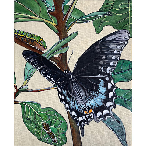 Painting of spicebush swallowtail butterfly on a branch with leaves with several caterpillars by Frances Coates - Cottage Curator - Sperryville VA Art Gallery